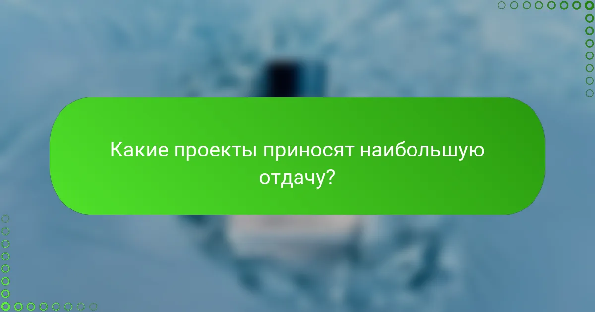 Какие проекты приносят наибольшую отдачу?